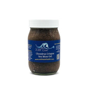 Load image into Gallery viewer, The Chondrus Crispus Irish Moss Jar 16 oz
